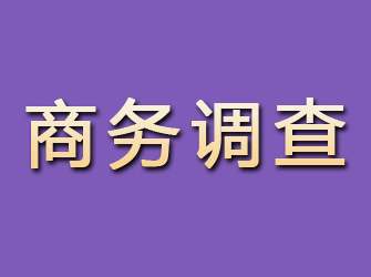 交城商务调查